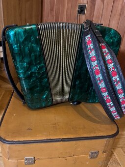 Heligonka delicia C-F - 4