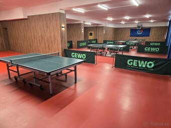 Stolný tenis - 4