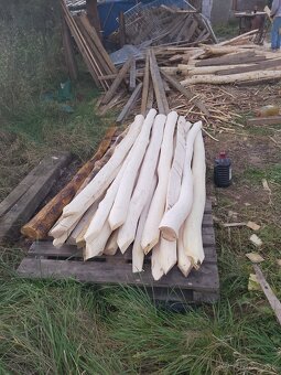 Agatove koly stĺpy - 4