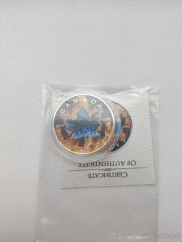 Canada Maple leaf minca - 4