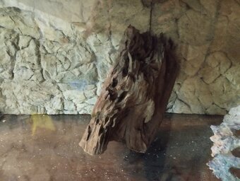 Predám akvarium Juwel vision 450 - 4
