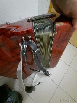 akordeón DELICIA - 4