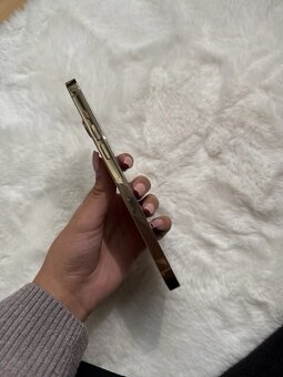 iPhone 14 pro max GOLD - 256GB - 4