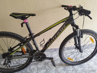 Author bicykel - 4