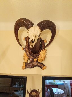 Predám luster z parožia + všetky trofeje, obrazy - 4