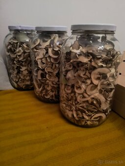 Sušené hríby - 4
