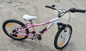 Specialized Hotrock 20 - 4