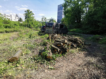 Darujem drevo - 4