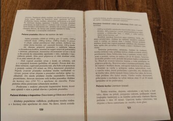 Poznáte francúzku kuchyňu, Juhoslovanská kuchyňa, Nemecká ku - 4