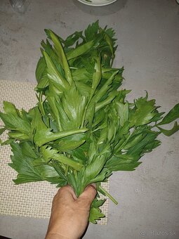Zemiaky, rajciny, papriky, ligurcek, lekno - BIO - 4