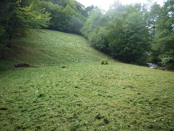 Na predaj lesný rekreačný pozemok Drietoma - Liešna, 6549m2 - 4