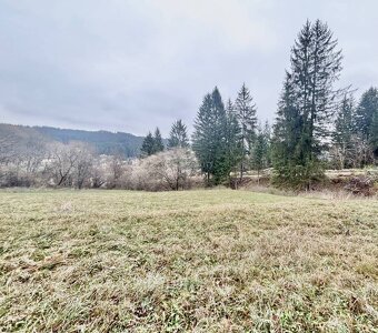 Predaj pozemku v pokojnej lokalite obce Olešná - 4