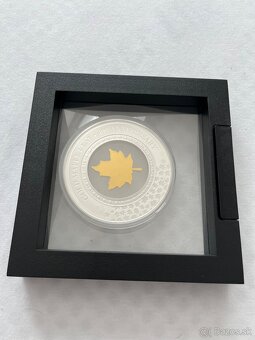 Gold maple leaf z roku 2019 - 4