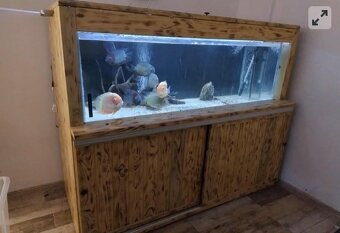 Lacno 450l akvárium/filter/svetlo/ohrievač - 4