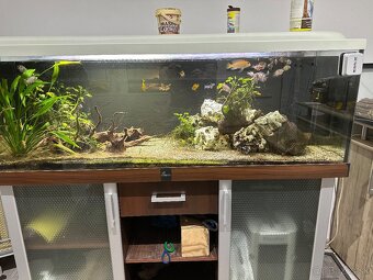 Akvarium 150x50x50 - 4