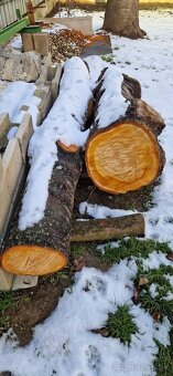 Čerešňove drevo - 4