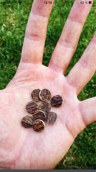 Predám poľovnícke košele. - 4