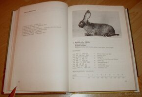 Vzorník plemen králíku - 4