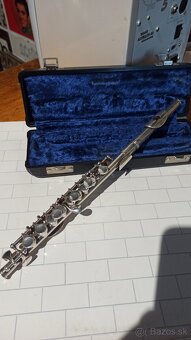 Pikola Gemeinhardt of Elkhart - 4