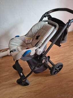Roan coss - 4
