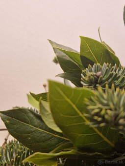 Veniec vianočný 40 /50 /80cm - 4