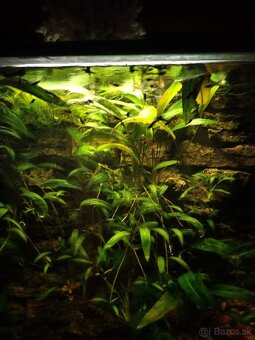 Predám aqarium, akvárium 110 l - 4