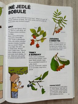 Priateľ lesa - Príručka mladého skauta - 4
