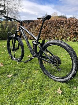Trek Remedy 8 2020 - 4