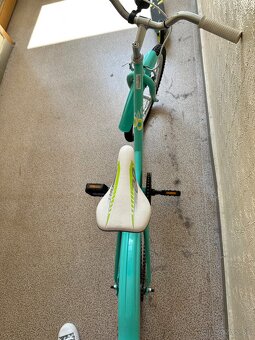 Detsky bicykel Harry 20 dolly - 4