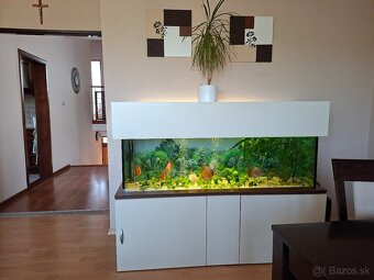 Akvarium - 4