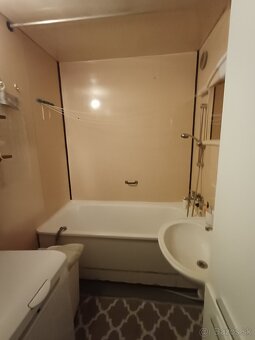 1 izb.byt na prenájom - 4