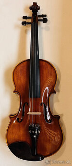 Predám husle, 4/4 husle: "Braun Diamond T01", model Stradi - 4