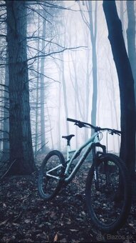 Specialized Stumpjumper Comp Carbon S5 (XL) - 4