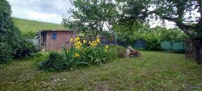 EXKLUZÍVNY PREDAJ-Záhrada s drevenou chatkou v Komárne - 4