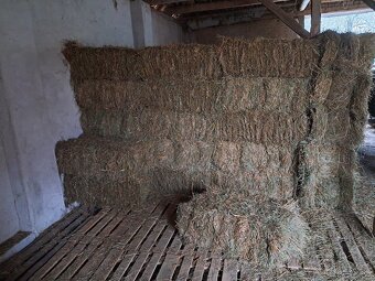 Predám seno - 4