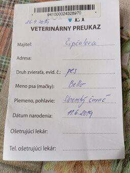 Milý hravý Bello - 4