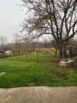 Rodinný dom 4.izbový + viničný domček s pozemkom - 4