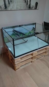PREDAM VELKE AKVARIUM PRE VODNU KORYTNACKU - 4
