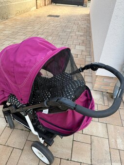 Sportovy kocik teutonia - 4