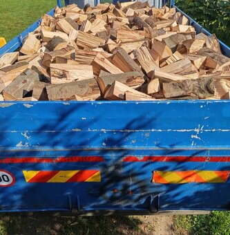 Palivové drevo Čistý BUK - 4