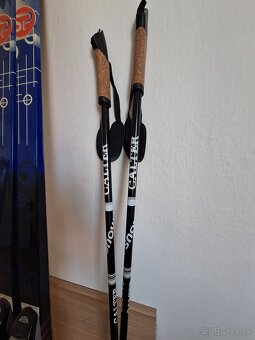 BEŽKY SKOL ISG TECHNO 190CM - 4