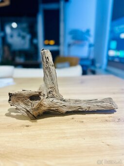 Koren do akvaria - 4