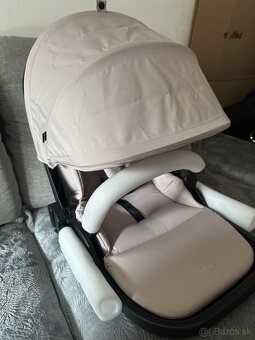 Hauck Walk N Care - 4