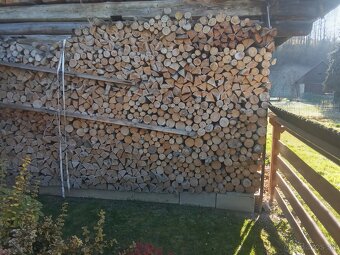 Palivové drevo - 4
