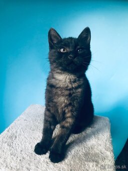 MARGO SI HĽADÁ DOMOV VO VNÚTRI - 4