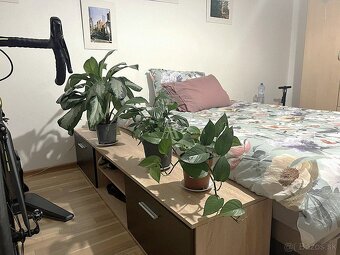 1 IZBOVÝ BYT BUKUREŠTSKÁ, KOŠICE, SÍDLISKO ŤAHANOVCE - 4