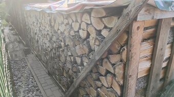 Palivove drevo DUB - 4