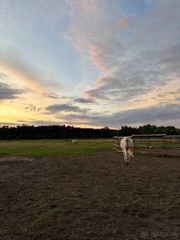 Ponúkame Ustajnenie - 4