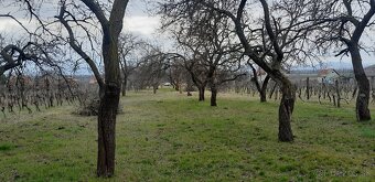 Predám pozemok s unimobunkou a vínnou pivnicou - 4
