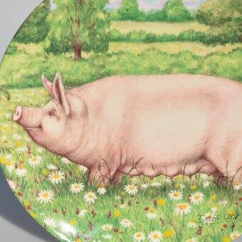 Porcelánové taniere z Anglicka - Šťastné prasiatka na lúke - 4